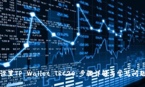 如何设置TP Wallet TRC20：步骤详解与常见问题解答