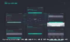 tpwallet如何存储FIL币？详细指南与技巧