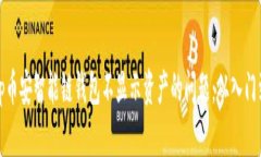 解决tp币安智能链钱包不显示资产的问题：从入门