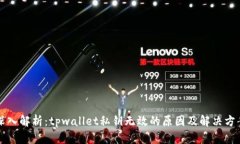 深入解析：tpwallet私钥无效的原因及解决方案