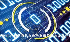 TPWallet转账打包失败的原因及解决方法详解