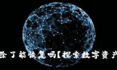 tpwallet被删除了能恢复吗？探索数字资产恢复的可