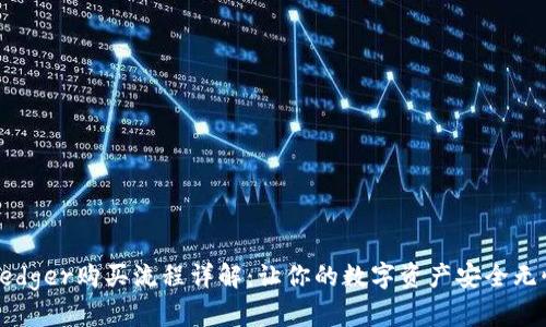 Ledger购买流程详解：让你的数字资产安全无忧